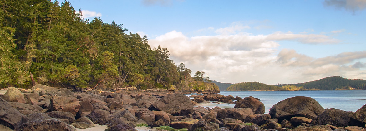 landscape of rocks, water and trees