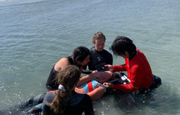 group of people in the water practicing life saving