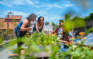 Island Health Announces 2023 2024 Community Wellness Grant Recipients   Cwg Teaser 